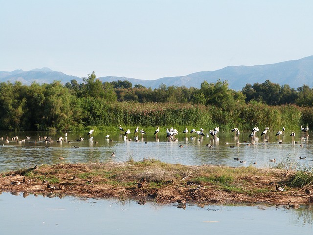 aiguamolls empuriabrava